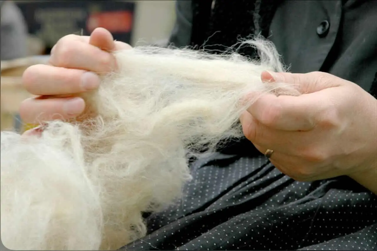 Peli di animali addio: ecco il trucco geniale che trasforma la tua lavatrice