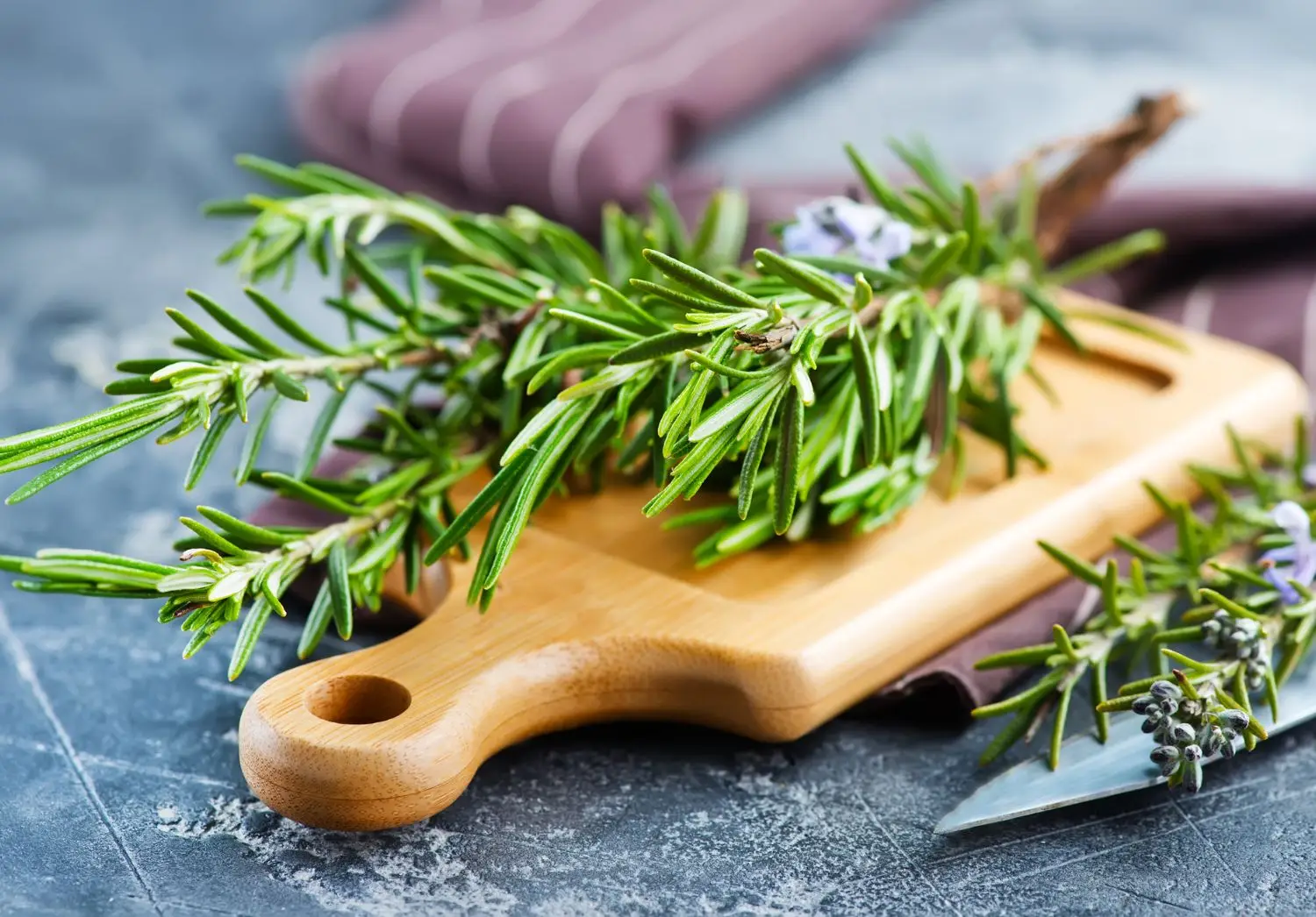 Ecco il segreto del rosmarino bollito: perché sempre più italiani lo usano in casa? Immagine selezionata