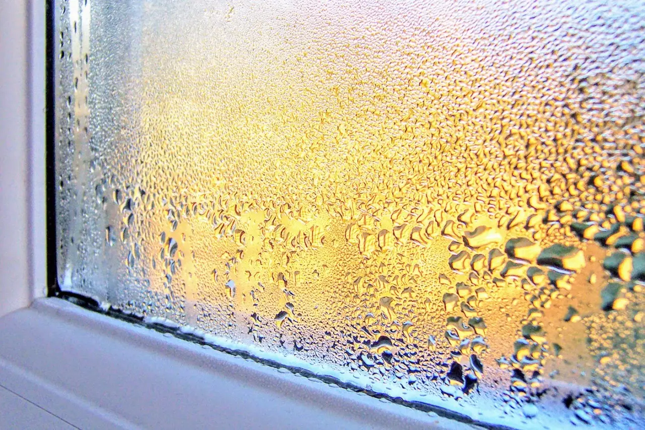 Come prevenire l’umidità negli armadi: ecco il rimedio che funziona davvero