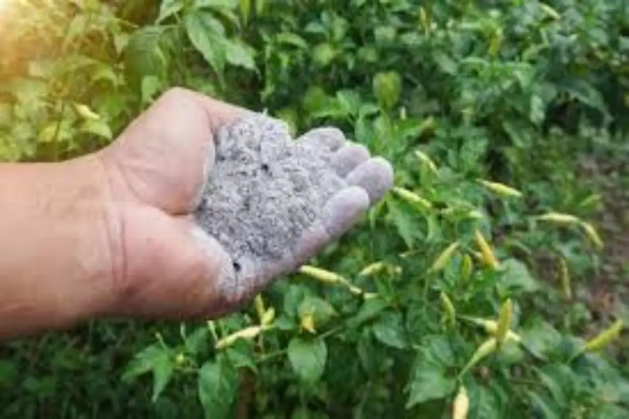 Come riconoscere un terreno acido: ecco il trucco con il bicarbonato Immagine selezionata