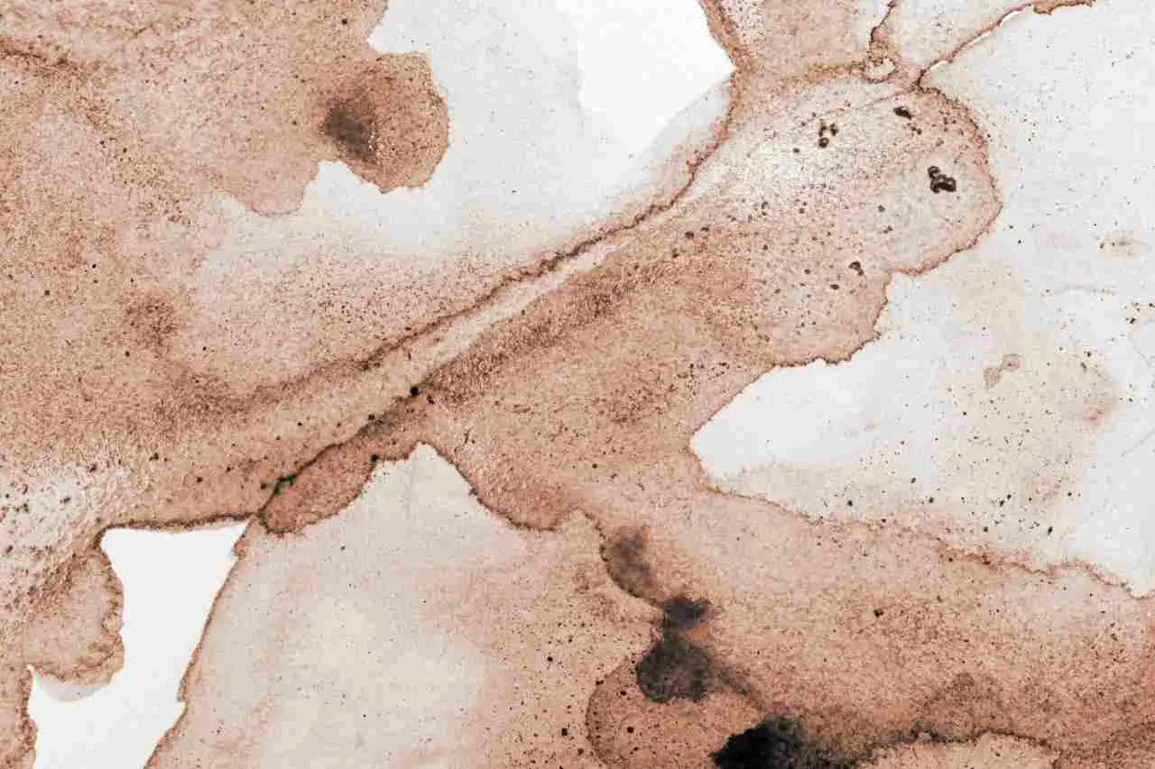 Come riconoscere un terreno acido: ecco il trucco con il bicarbonato Immagine selezionata