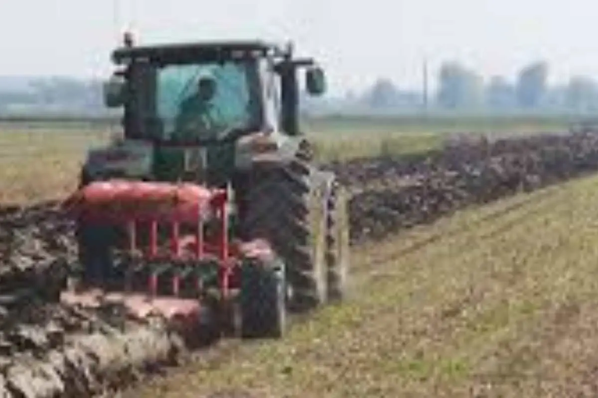 Come riconoscere un terreno acido: ecco il trucco con il bicarbonato Immagine selezionata