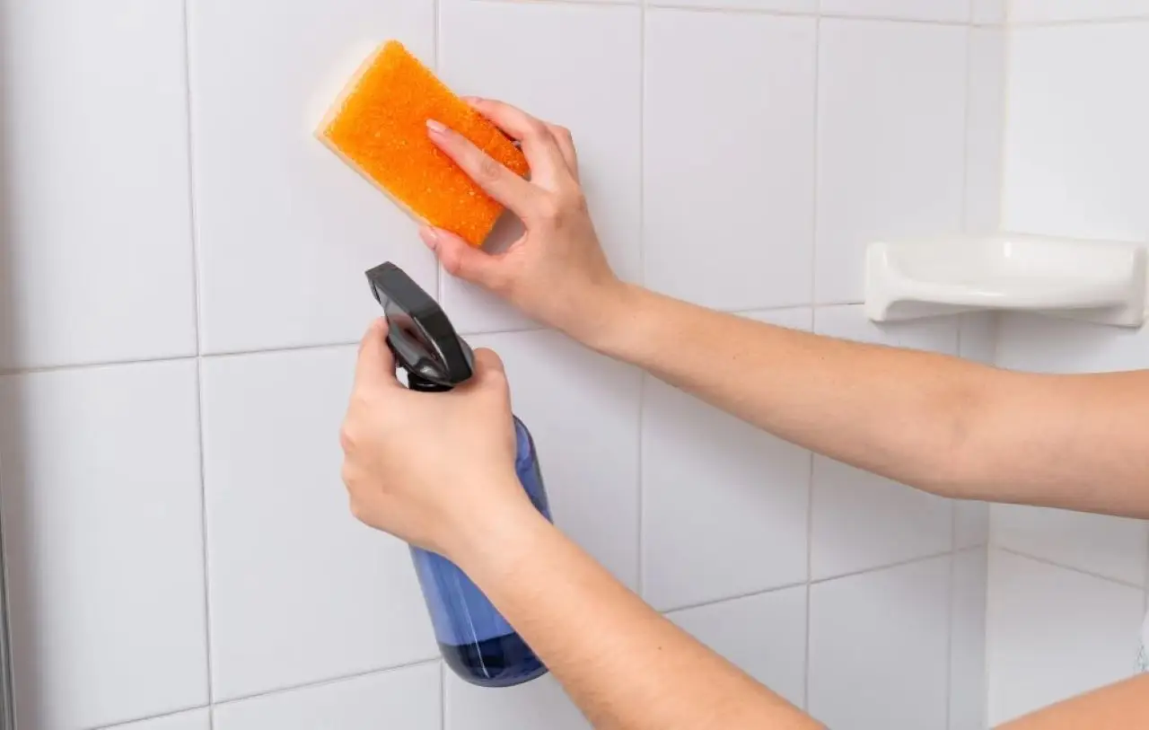 Guida alla pulizia profonda delle piastrelle del bagno: ecco il metodo innovativo Guida alla pulizia profonda delle piastrelle del bagno: ecco il metodo innovativo