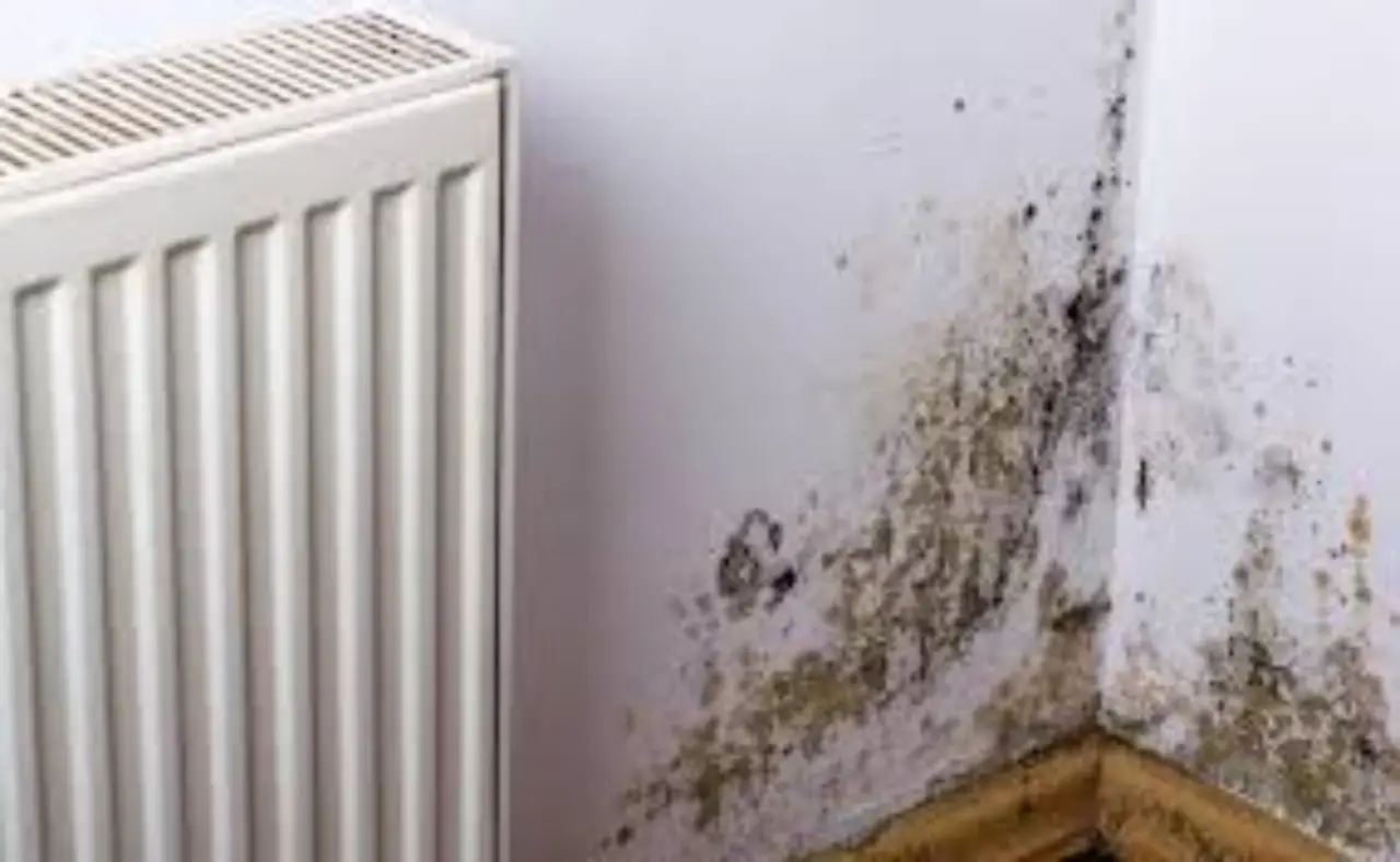 Come togliere l’umidità dalle pareti: ecco il rimedio definitivo