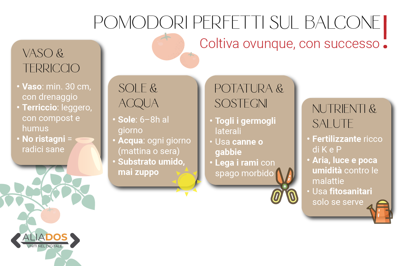 Pomodori perfetti anche sul balcone: questo è il trucco che conquista ogni spazio Immagine selezionata