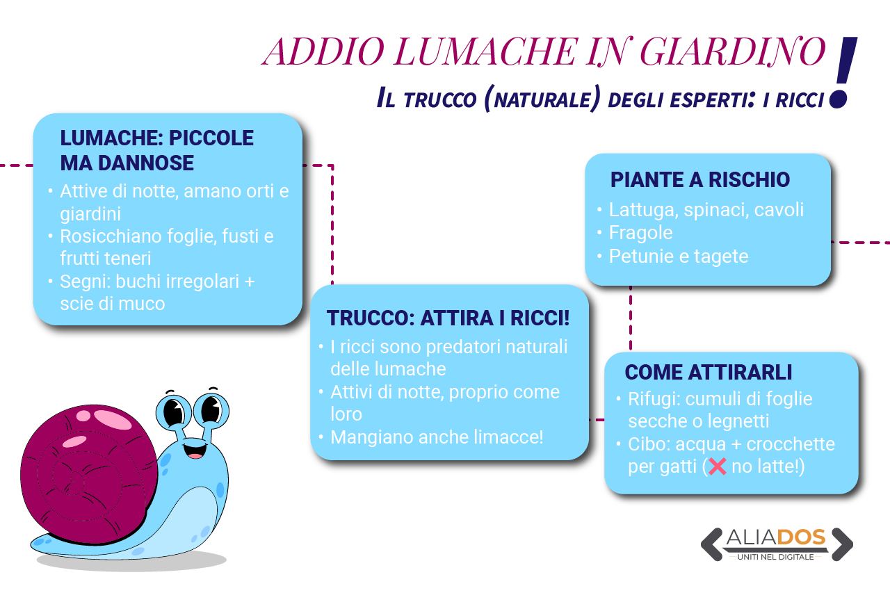 Come eliminare le lumache dal giardino il metodo innovativo degli esperti con l’aiuto dei ricci Immagine selezionata